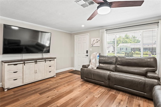 6137 Halifax Dr, New Port Richey, FL 34653 - living room featuring crown molding, light wood-style floors, ceiling fan, baseboards, and a textured ceiling
