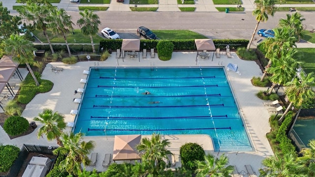 33255 Kateland Dr, Wesley Chapel, FL 33545 - community pool with a patio