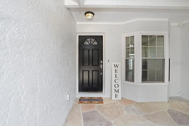 1017 Cameo Crest Ln, Valrico, FL 33596 - view of exterior entry featuring stucco siding