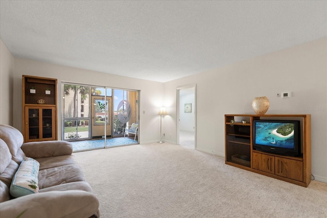 11485 Oakhurst Rd Unit 200-101, Largo, FL 33774 - living area featuring carpet flooring, a textured ceiling, and baseboards