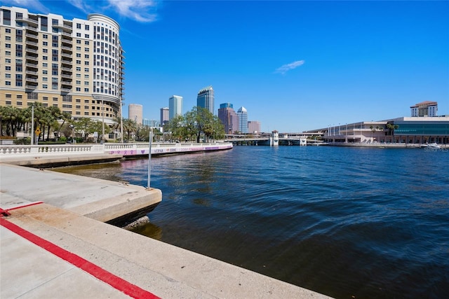 1119 Eau Claire Cir, Tampa, FL 33619 - dock area with a water view and a skyline view