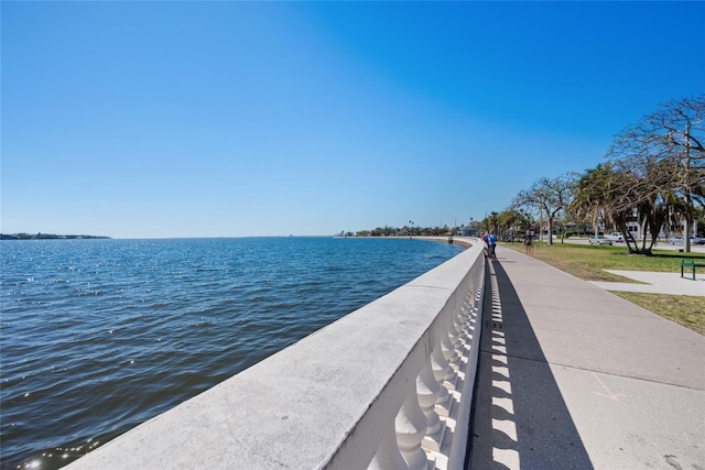 1119 Eau Claire Cir, Tampa, FL 33619 - water view