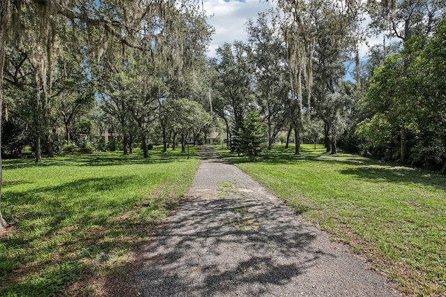 12433 Kelso Rd, Thonotosassa, FL 33592 - photo 83