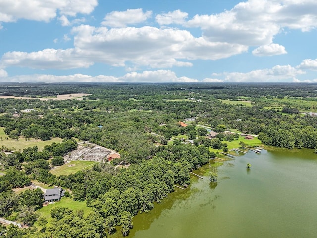 12433 Kelso Rd, Thonotosassa, FL 33592 - photo 84