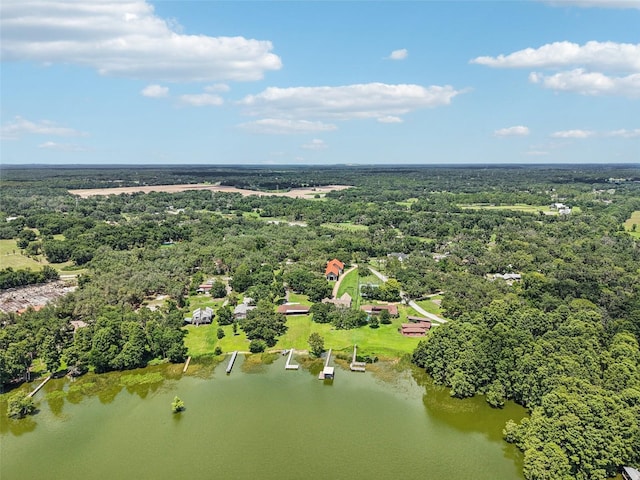 12433 Kelso Rd, Thonotosassa, FL 33592 - photo 85