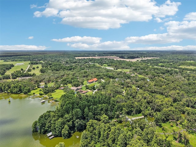 12433 Kelso Rd, Thonotosassa, FL 33592 - photo 86