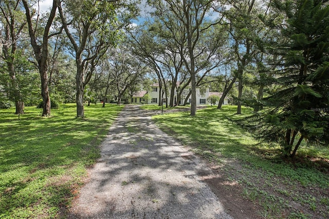 12433 Kelso Rd, Thonotosassa, FL 33592 - photo 5