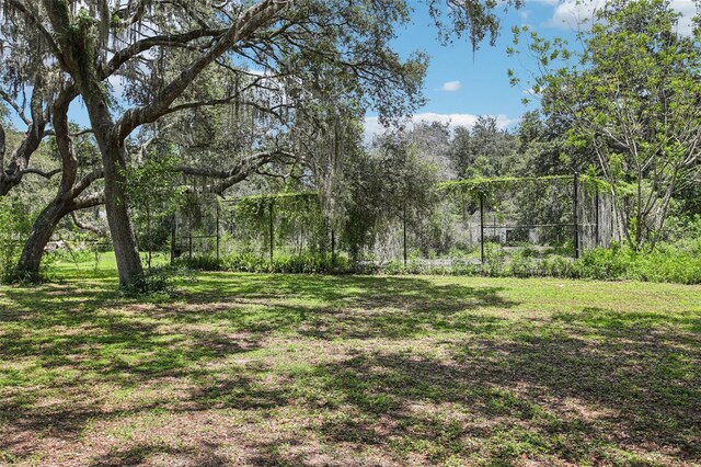 12433 Kelso Rd, Thonotosassa, FL 33592 - photo 71