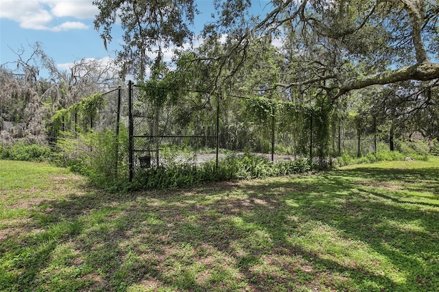 12433 Kelso Rd, Thonotosassa, FL 33592 - photo 73