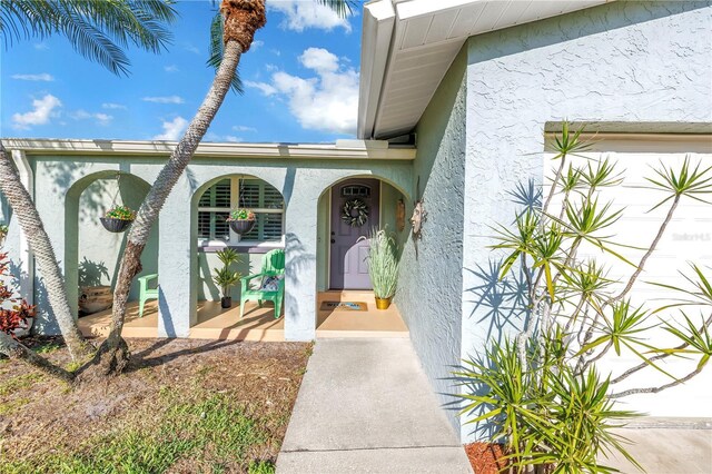 5925 18th St NE, Saint Petersburg, FL 33703 - photo 4