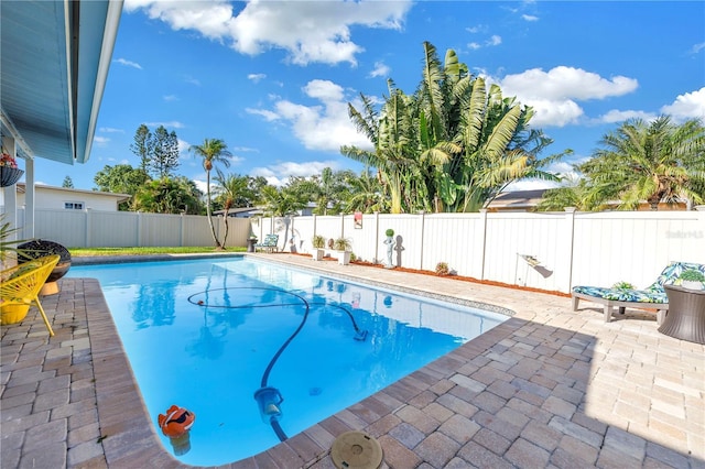 5925 18th St NE, Saint Petersburg, FL 33703 - photo 10