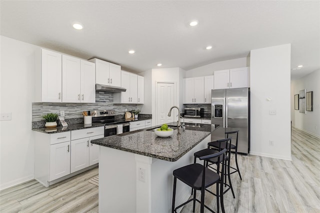 8812 Parsons Hill Blvd, Wesley Chapel, FL 33545 - kitchen featuring appliances with stainless steel finishes, under cabinet range hood, a sink, light wood-type flooring, and a breakfast bar