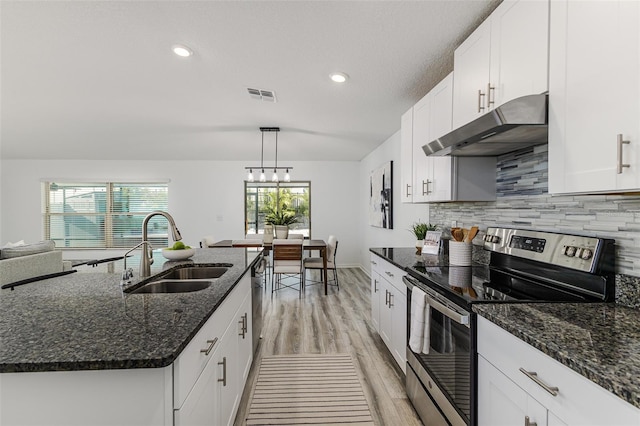 8812 Parsons Hill Blvd, Wesley Chapel, FL 33545 - kitchen featuring stainless steel appliances, under cabinet range hood, a sink, light wood-style floors, and tasteful backsplash