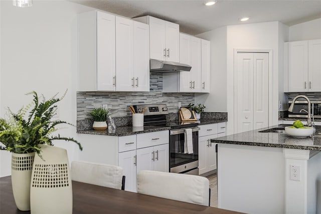 8812 Parsons Hill Blvd, Wesley Chapel, FL 33545 - kitchen featuring stainless steel electric stove, under cabinet range hood, tasteful backsplash, white cabinetry, and recessed lighting