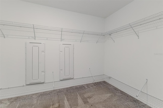 8812 Parsons Hill Blvd, Wesley Chapel, FL 33545 - walk in closet featuring carpet and electric panel