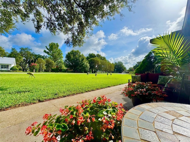 1423 Spruce Rd N, Lakeland, FL 33809 - photo 58