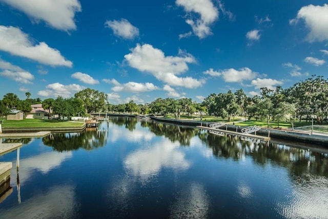 6345 Lambert Ln, New Port Richey, FL 34652 - water view with a tree filled landscape