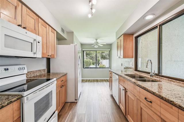 13501 Palmwood Ln Unit 0, Tampa, FL 33618 - kitchen featuring white appliances, a sink, wood finished floors, and stone countertops