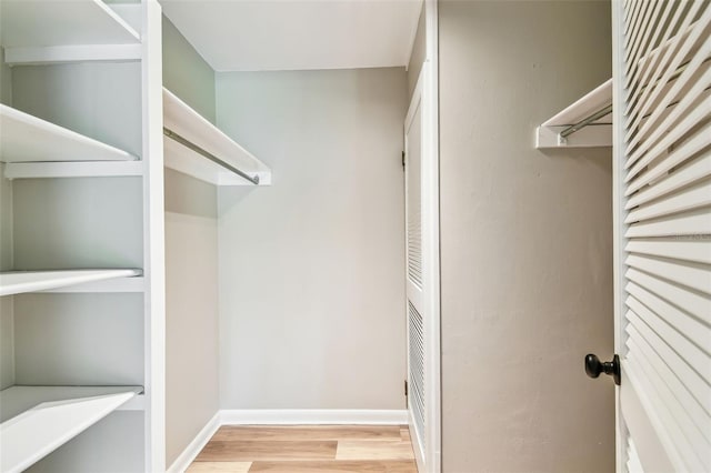 13501 Palmwood Ln Unit 0, Tampa, FL 33618 - walk in closet featuring light wood-type flooring