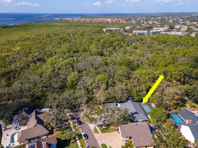 4202 Deepwater Ln, Tampa, FL 33615 - photo 59