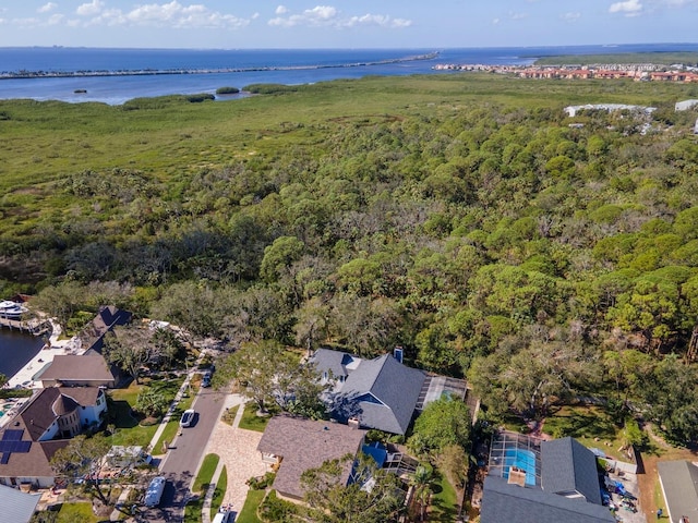 4202 Deepwater Ln, Tampa, FL 33615 - photo 62