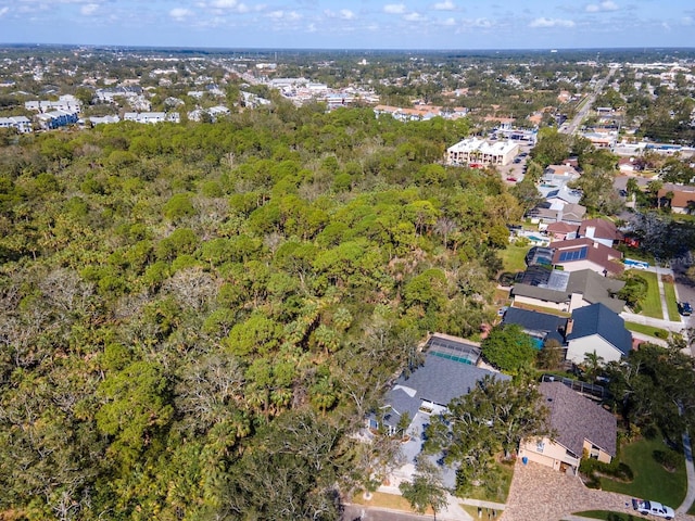 4202 Deepwater Ln, Tampa, FL 33615 - photo 64