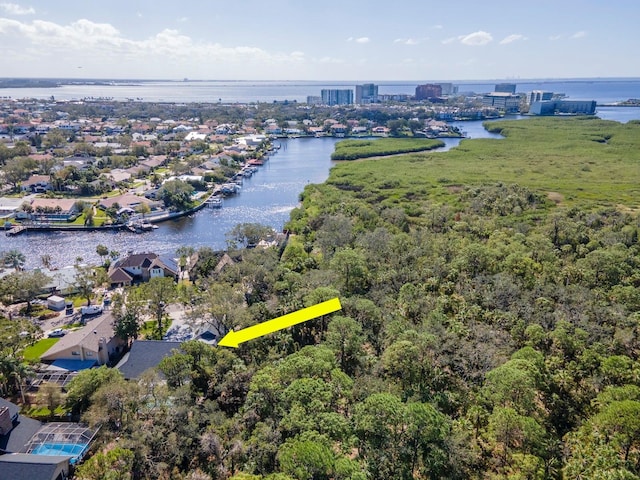 4202 Deepwater Ln, Tampa, FL 33615 - photo 72