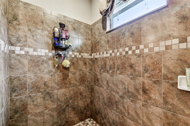 3302 Granite Ridge Loop, Land O Lakes, FL 34638 - bathroom with a tile shower