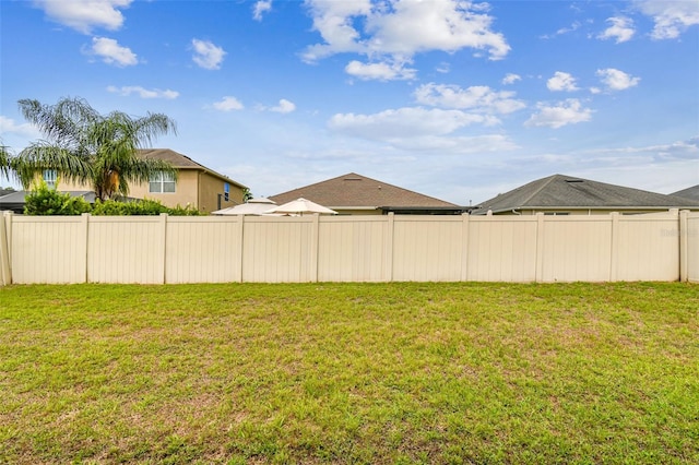 3302 Granite Ridge Loop, Land O Lakes, FL 34638 - view of yard