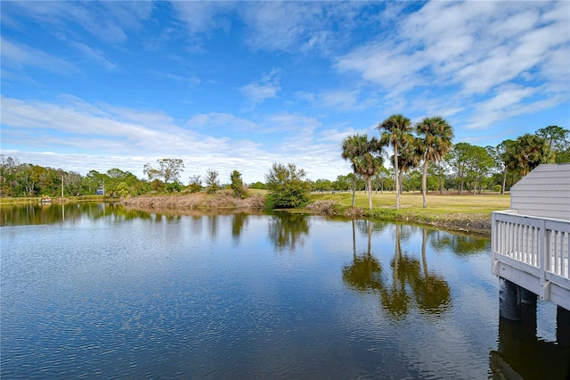 13635 Twin Lakes Ln Unit 13635, Tampa, FL 33618 - water view