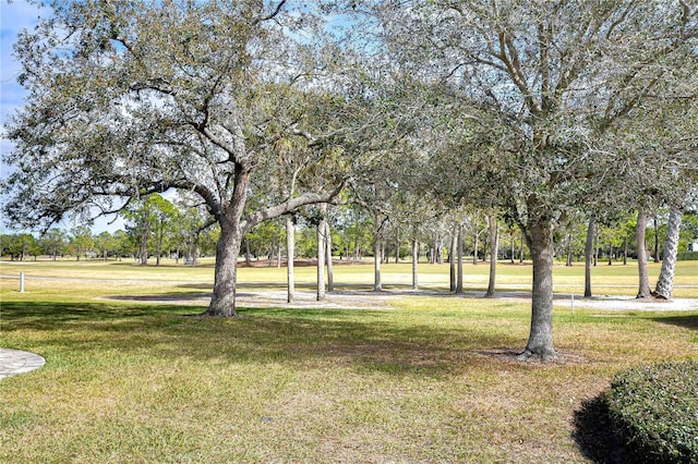 13635 Twin Lakes Ln Unit 13635, Tampa, FL 33618 - view of property's community with a yard