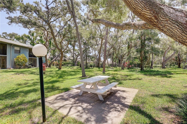11800 Park Blvd Unit 208, Seminole, FL 33772 - view of green lawn with a patio