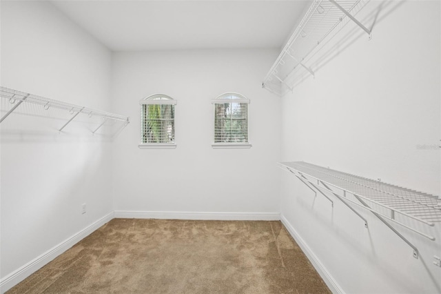 19711 Wellington Manor Blvd, Lutz, FL 33549 - spacious closet featuring light carpet
