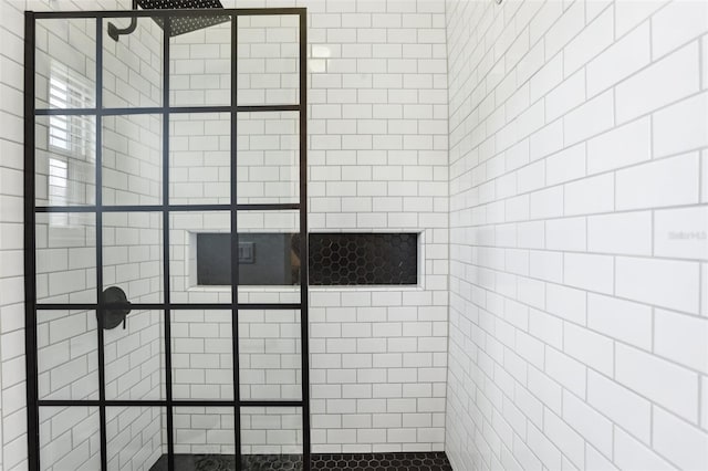 19711 Wellington Manor Blvd, Lutz, FL 33549 - full bathroom with tiled shower