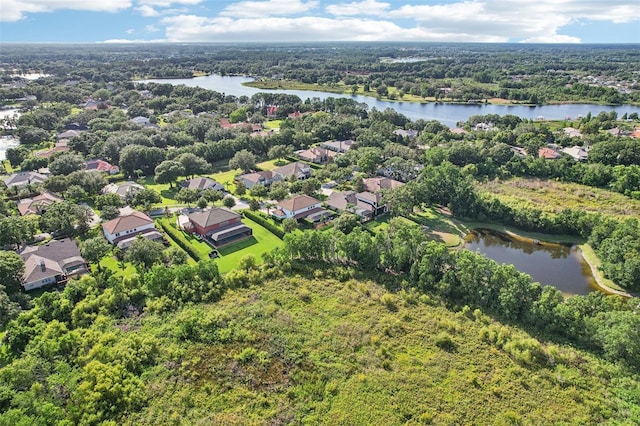 19711 Wellington Manor Blvd, Lutz, FL 33549 - aerial perspective of suburban area featuring a nearby body of water and a forest