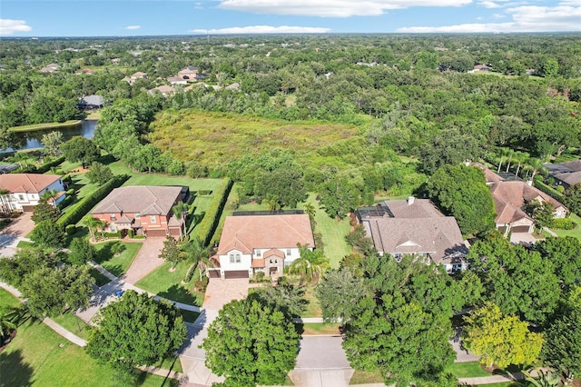 19711 Wellington Manor Blvd, Lutz, FL 33549 - aerial view of property's location with nearby suburban area and a large body of water