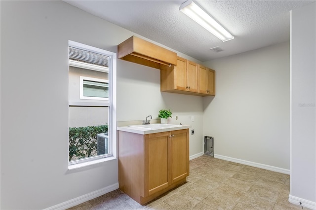 11938 Royce Waterford Cir, Tampa, FL 33626 - washroom featuring electric dryer hookup, hookup for a washing machine, cabinet space, baseboards, and healthy amount of natural light