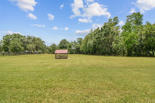 4608 Scott Rd, Lutz, FL 33558 - view of yard