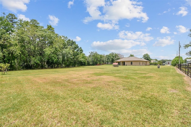 4608 Scott Rd, Lutz, FL 33558 - view of yard