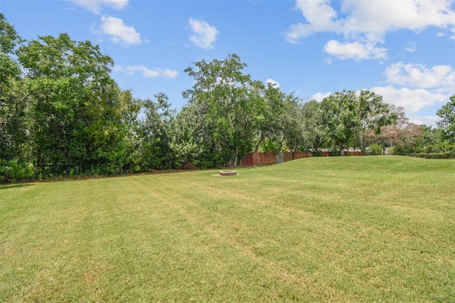 4608 Scott Rd, Lutz, FL 33558 - view of yard