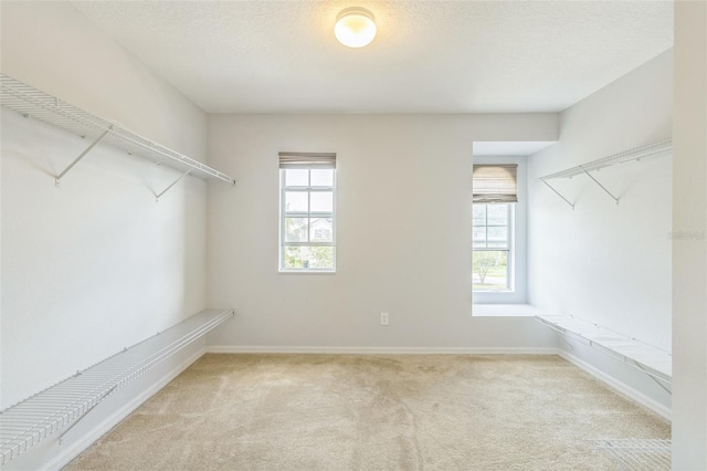1769 Strathmore Cir, Mount Dora, FL 32757 - spacious closet with carpet flooring