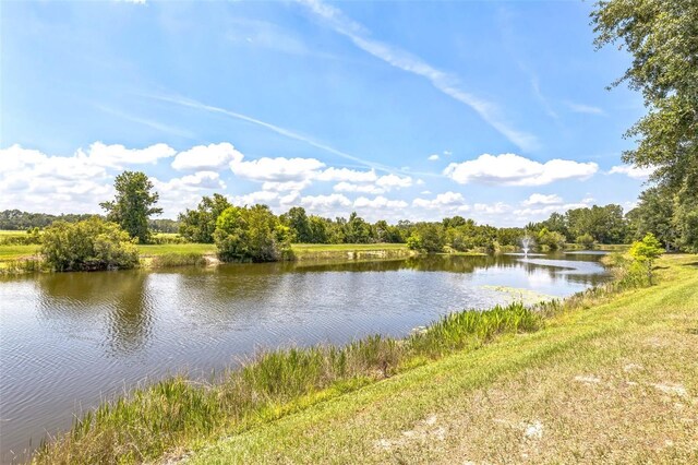 1769 Strathmore Cir, Mount Dora, FL 32757 - water view