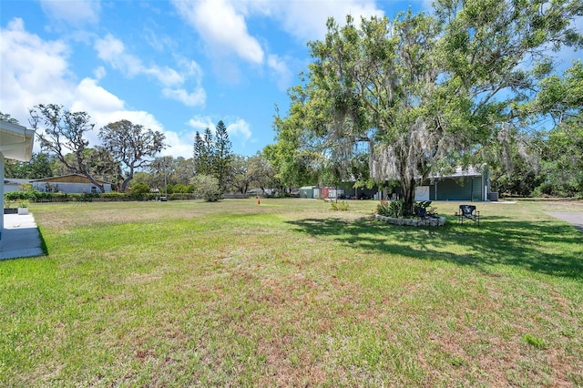 10722 Sumner Rd, Wimauma, FL 33598 - view of green lawn
