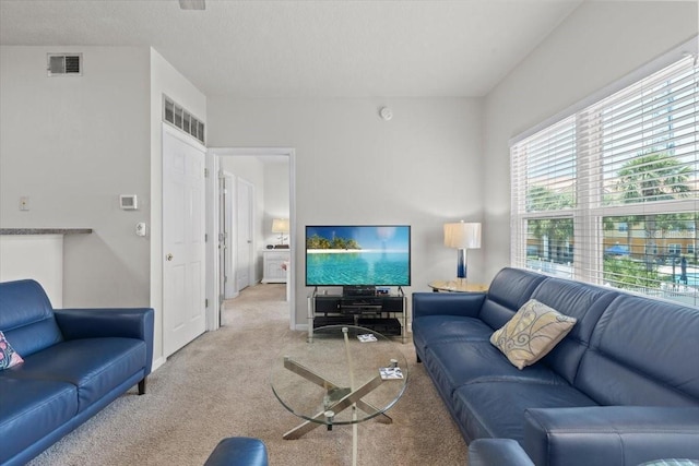 10764 70th Ave Unit 3206, Seminole, FL 33772 - living room with carpet floors and baseboards