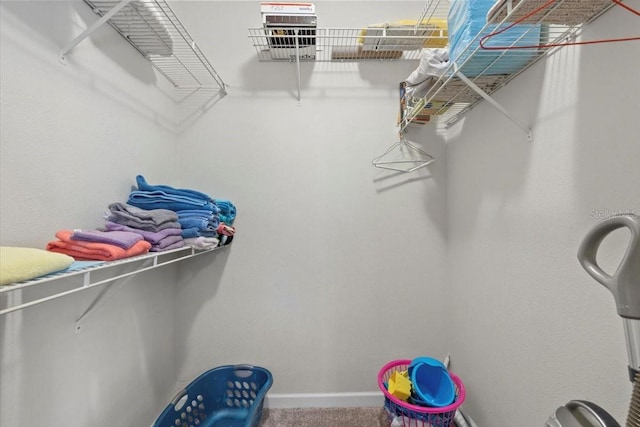 10764 70th Ave Unit 3206, Seminole, FL 33772 - walk in closet with carpet floors