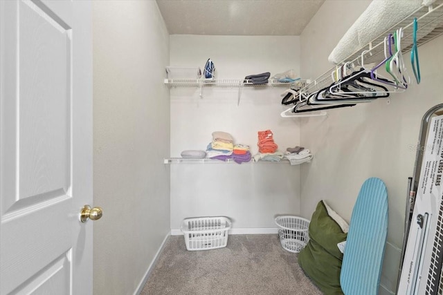 10764 70th Ave Unit 3206, Seminole, FL 33772 - spacious closet with carpet floors