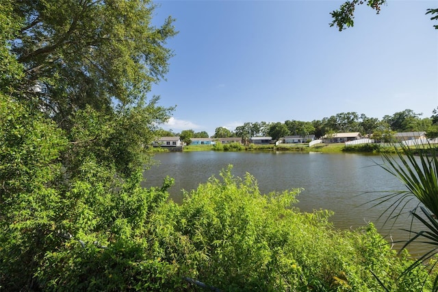 2436 Beacon Groves Blvd, Palm Harbor, FL 34683 - water view
