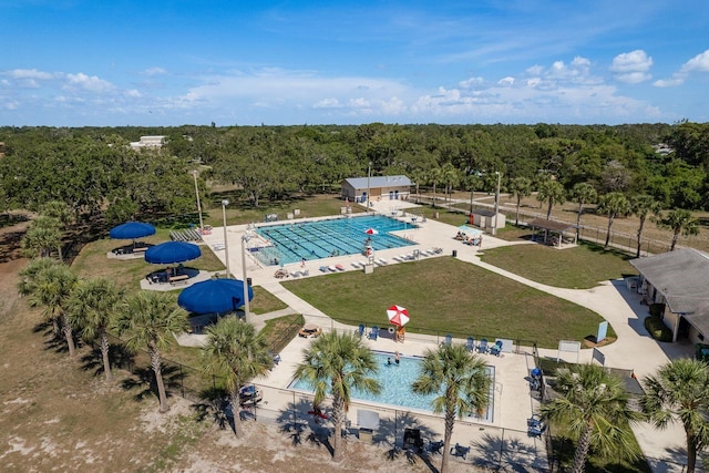 2271 Carolyn Dr, Dunedin, FL 34698 - bird's eye view of a pool and a forest