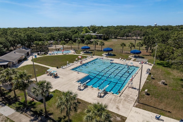 2271 Carolyn Dr, Dunedin, FL 34698 - community pool featuring a patio