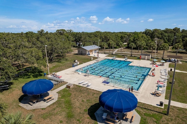 2271 Carolyn Dr, Dunedin, FL 34698 - community pool featuring a patio, a lawn, and a view of trees